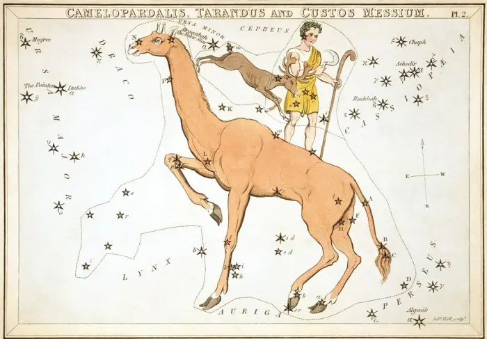 former constellations,tarandus,custos messium