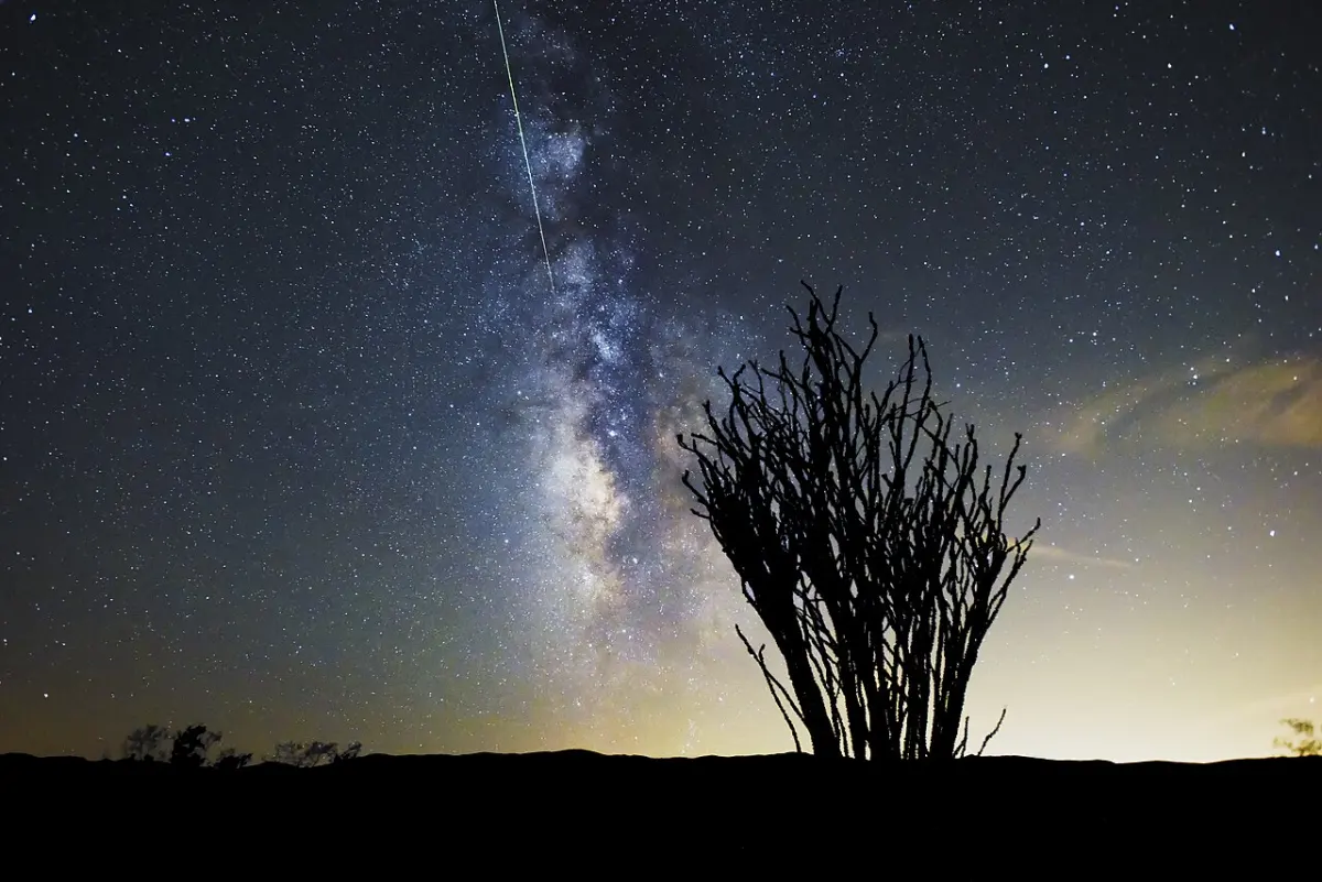 perseids