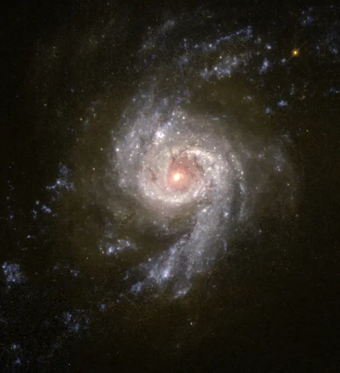 ngc 3310 galaxy