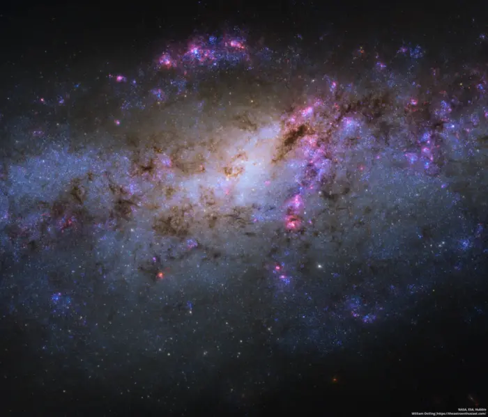cocoon galaxy hubble space telescope