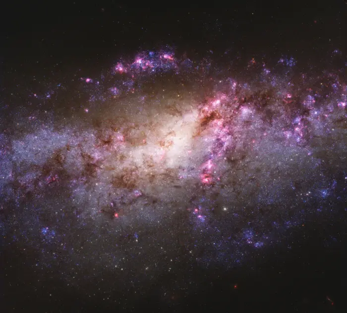 cocoon galaxy,ngc 4490