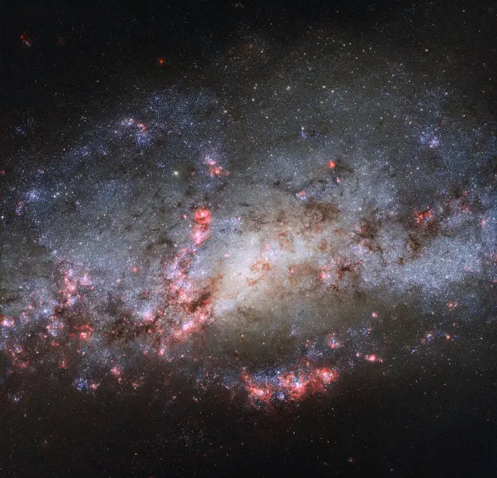 cocoon galaxy hst