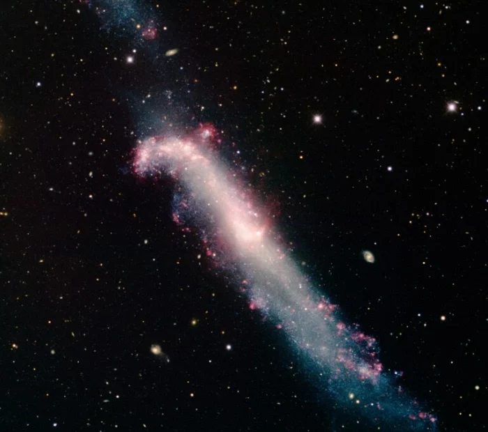 crowbar galaxy,ngc 4656