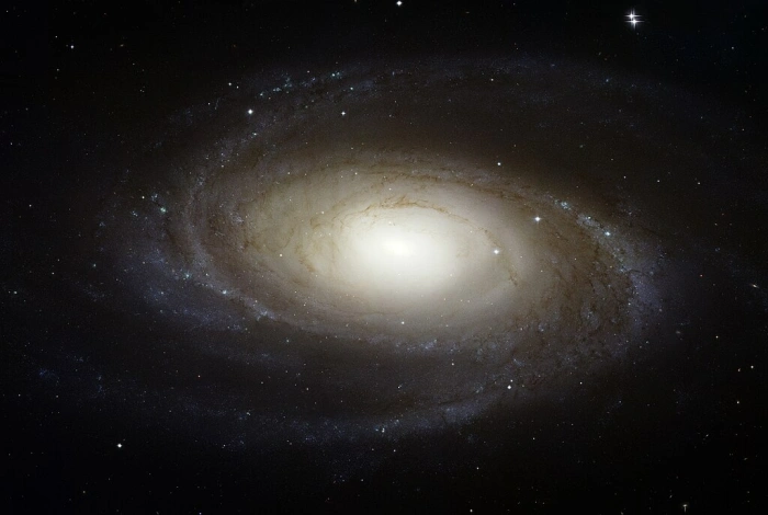 messier 81,m81 galaxy