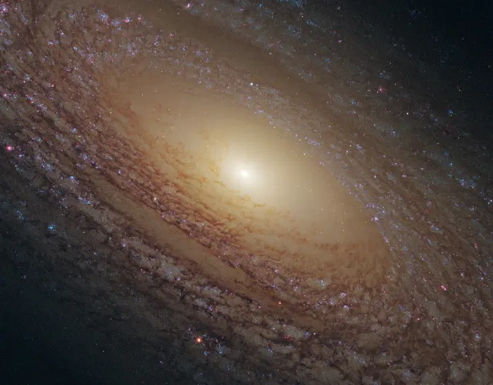 ngc 2841 galaxy