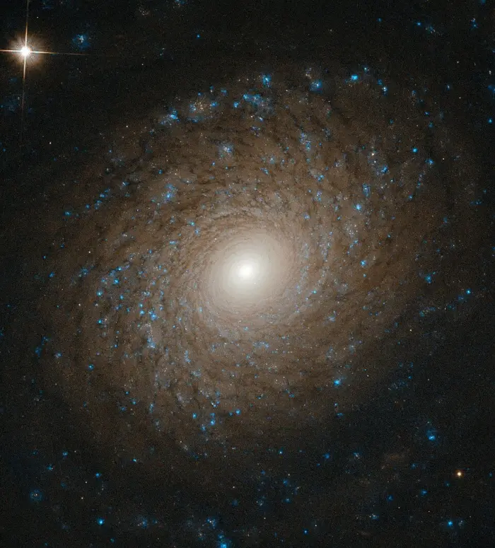 ngc 2985 galaxy