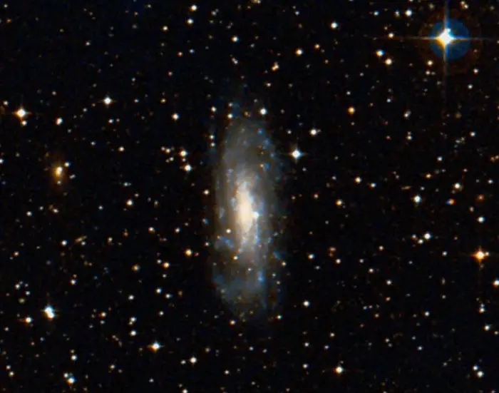 ngc 3137 galaxy