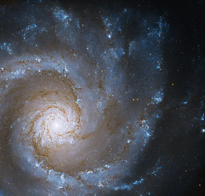ngc 3631 galaxy