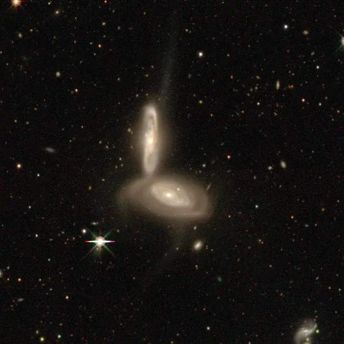 arp 294