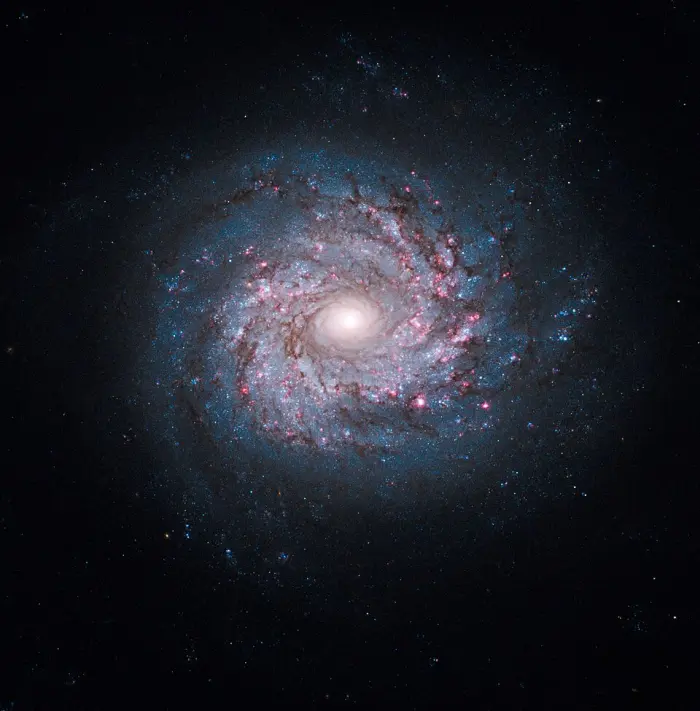 ngc 3982 galaxy