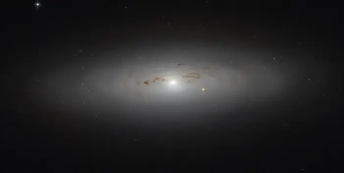 ngc 4036 galaxy
