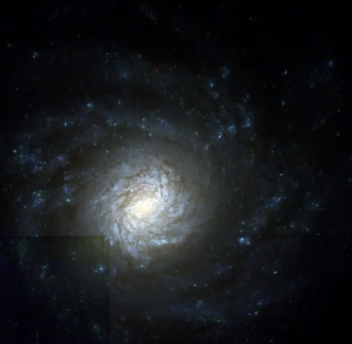 ngc 4041 galaxy