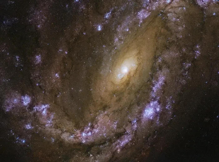 ngc 4051