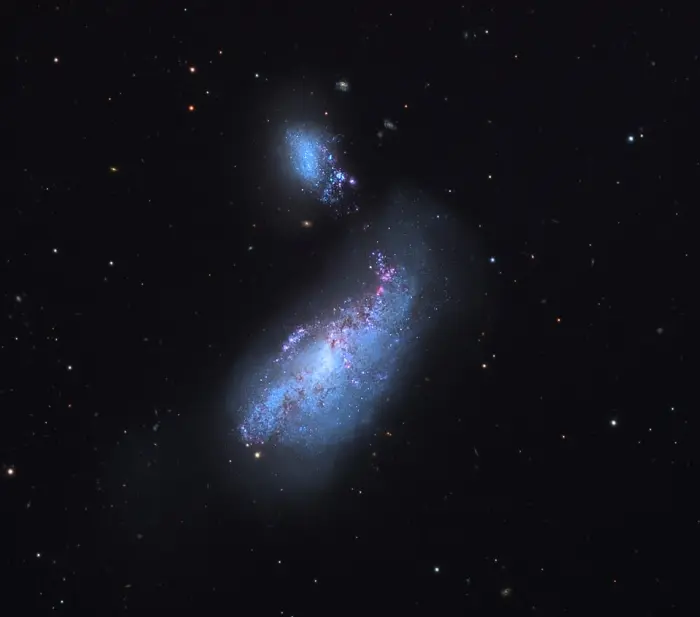 cocoon galaxy and companion