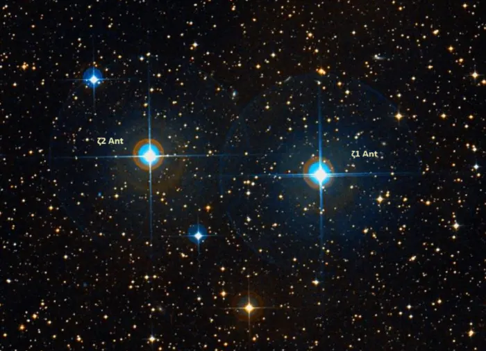 zeta1 and zeta2 antliae