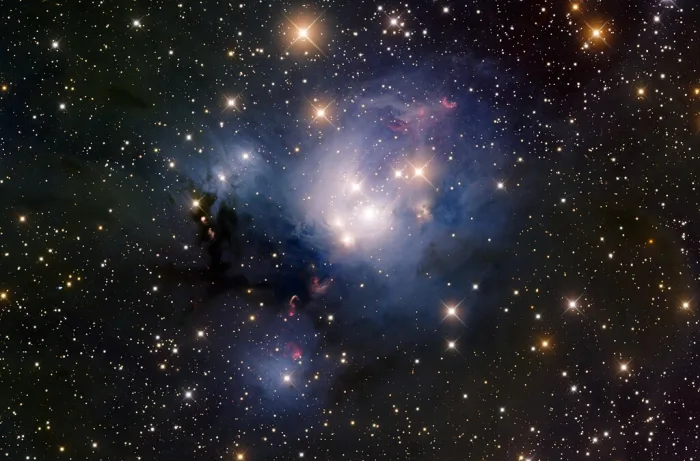 rosebud nebula