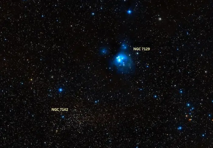 rosebud nebula and ngc 7142 star cluster