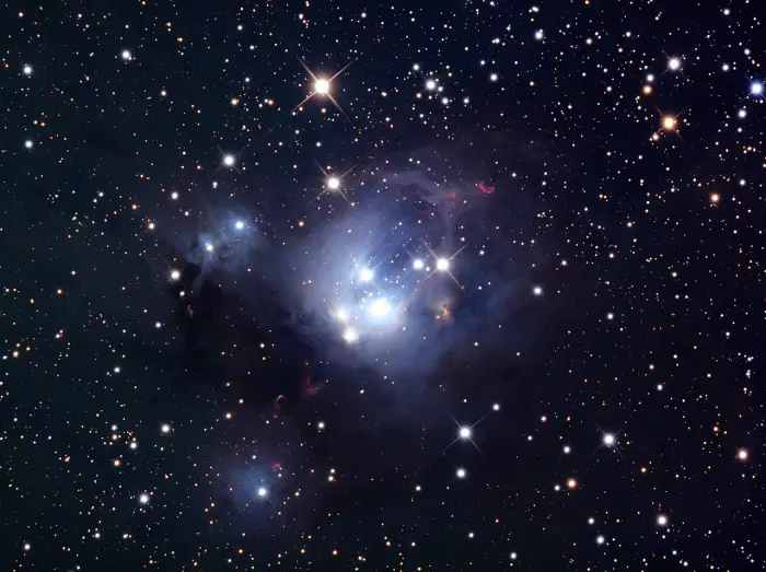 rosebud nebula