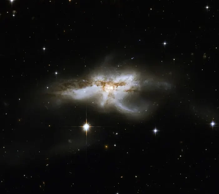 starfish galaxy,ngc 6240,galactic merger