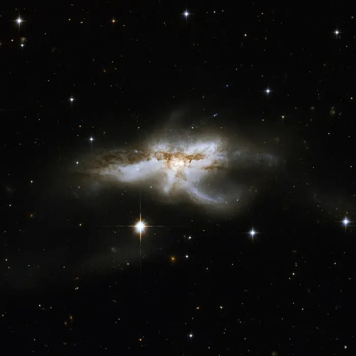 starfish galaxy,ngc 6240,galactic merger