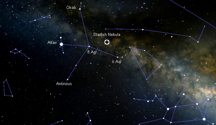 how to find the starfish nebula,where is the starfish nebula in the sky