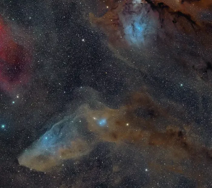blue horsehead nebula,ic 4592,reflection nebula in scorpius