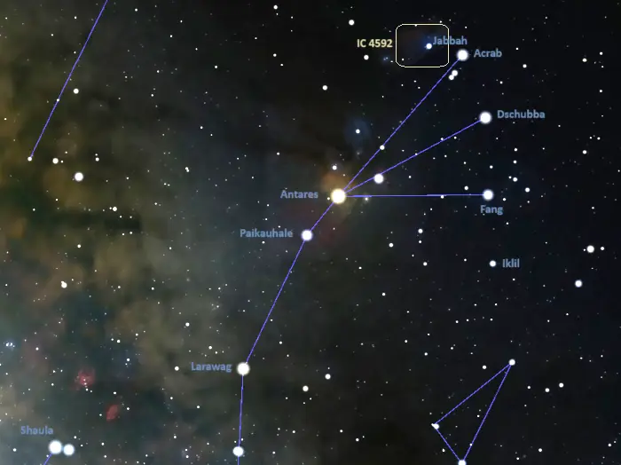 how to find the blue horsehead nebula,ic 4592 location,where is the blue horsehead nebula in the sky