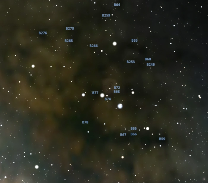 dark horse nebula complex