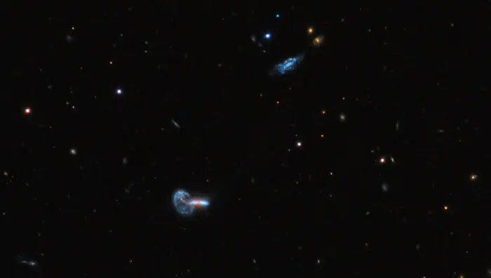 mayall's object wide field