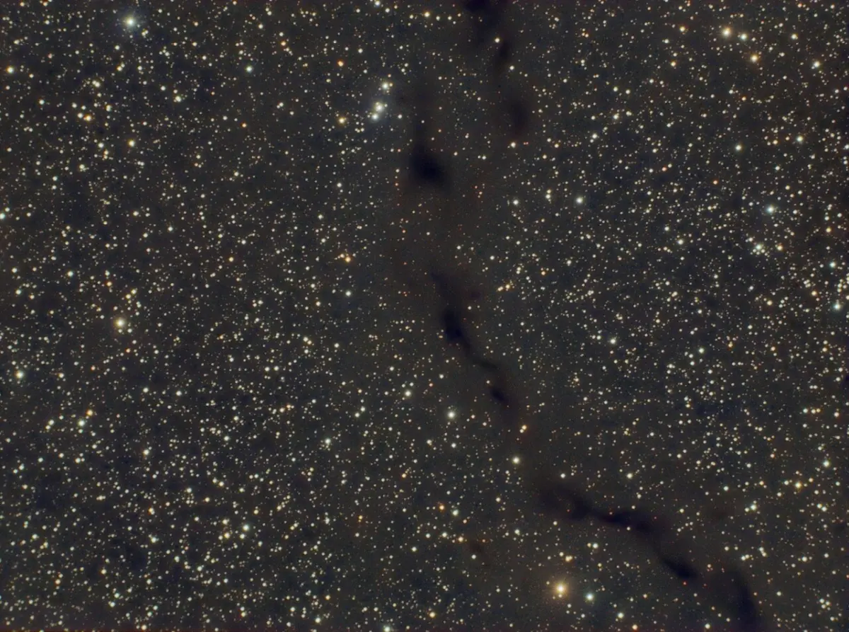 seahorse nebula,ldn 1083