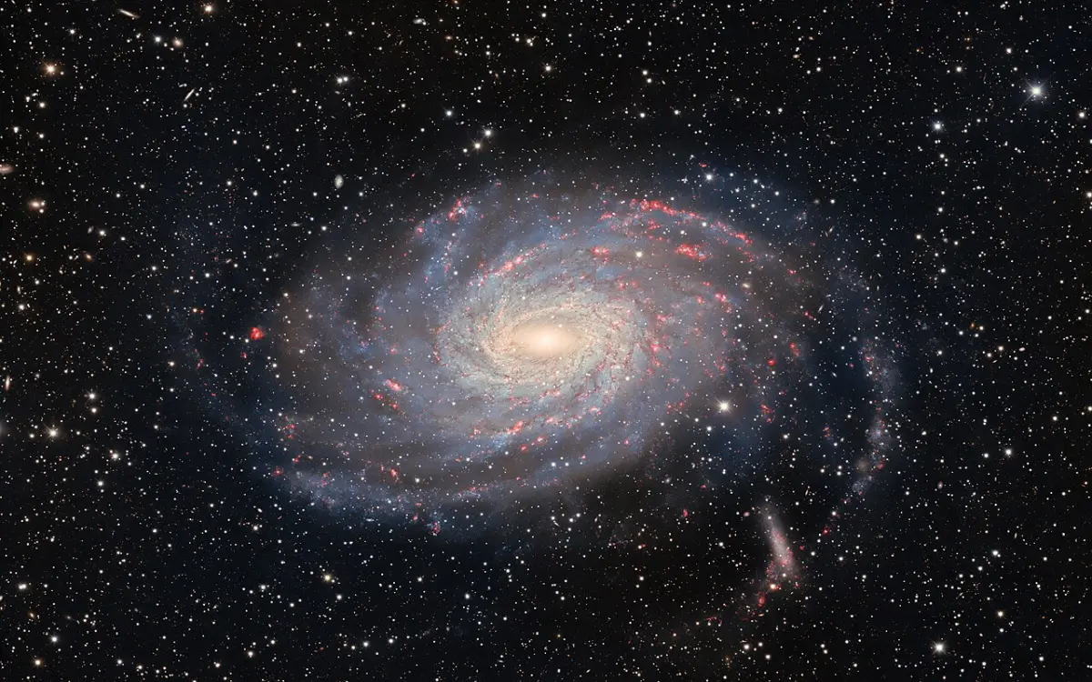 pavo galaxy dark energy camera