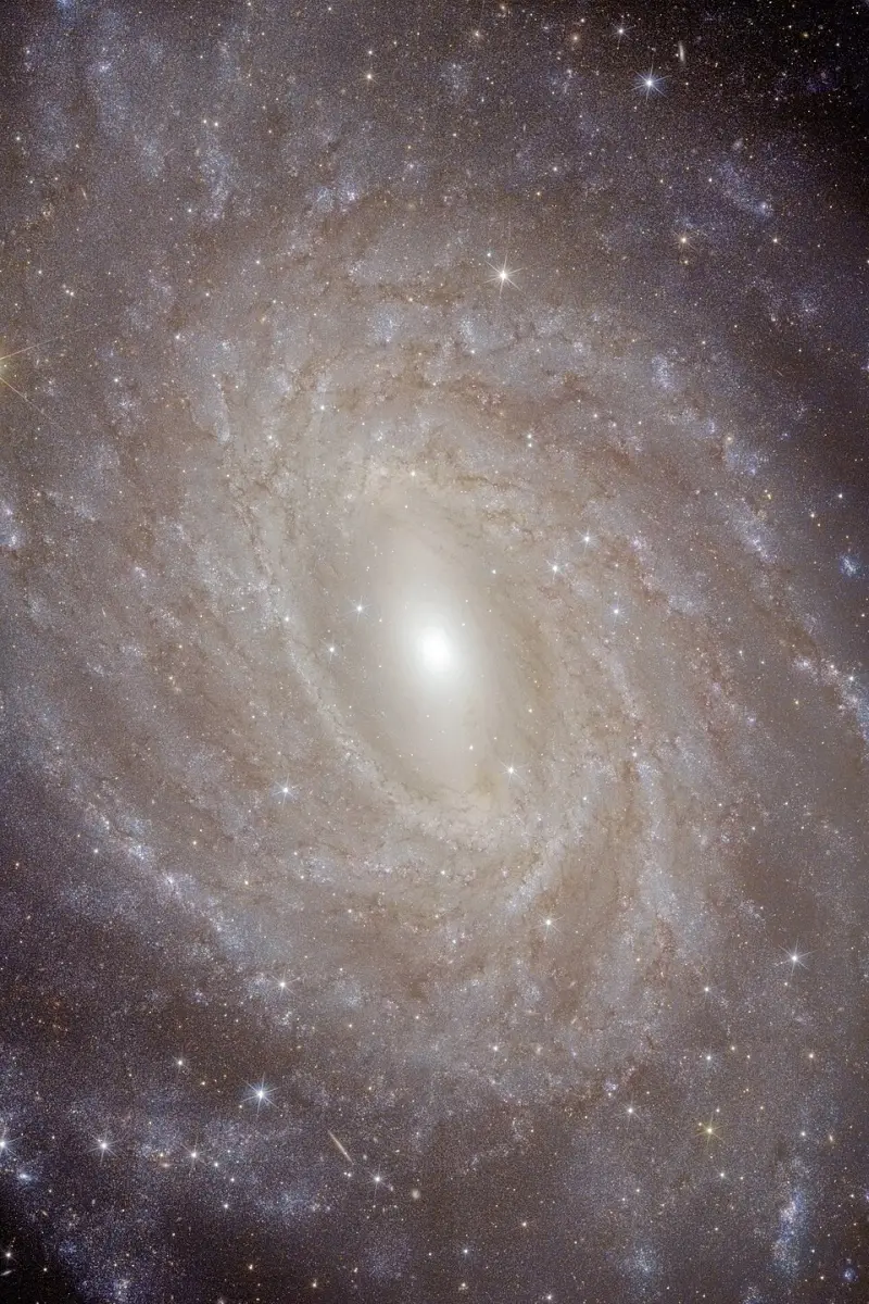 pavo galaxy euclid,ngc 6744 euclid