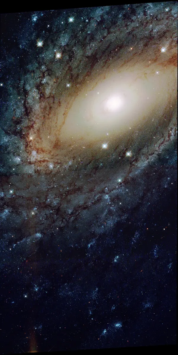 pavo galaxy hubble