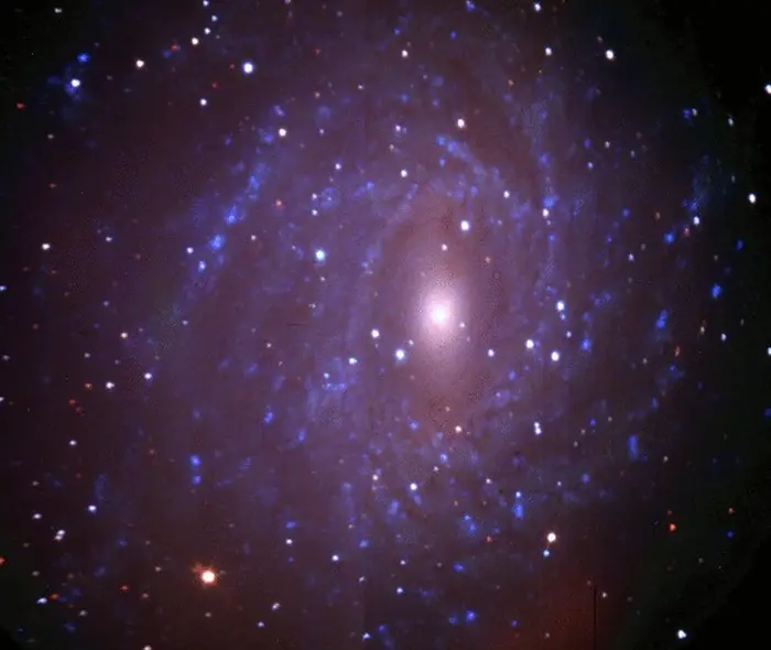 pavo galaxy SALT