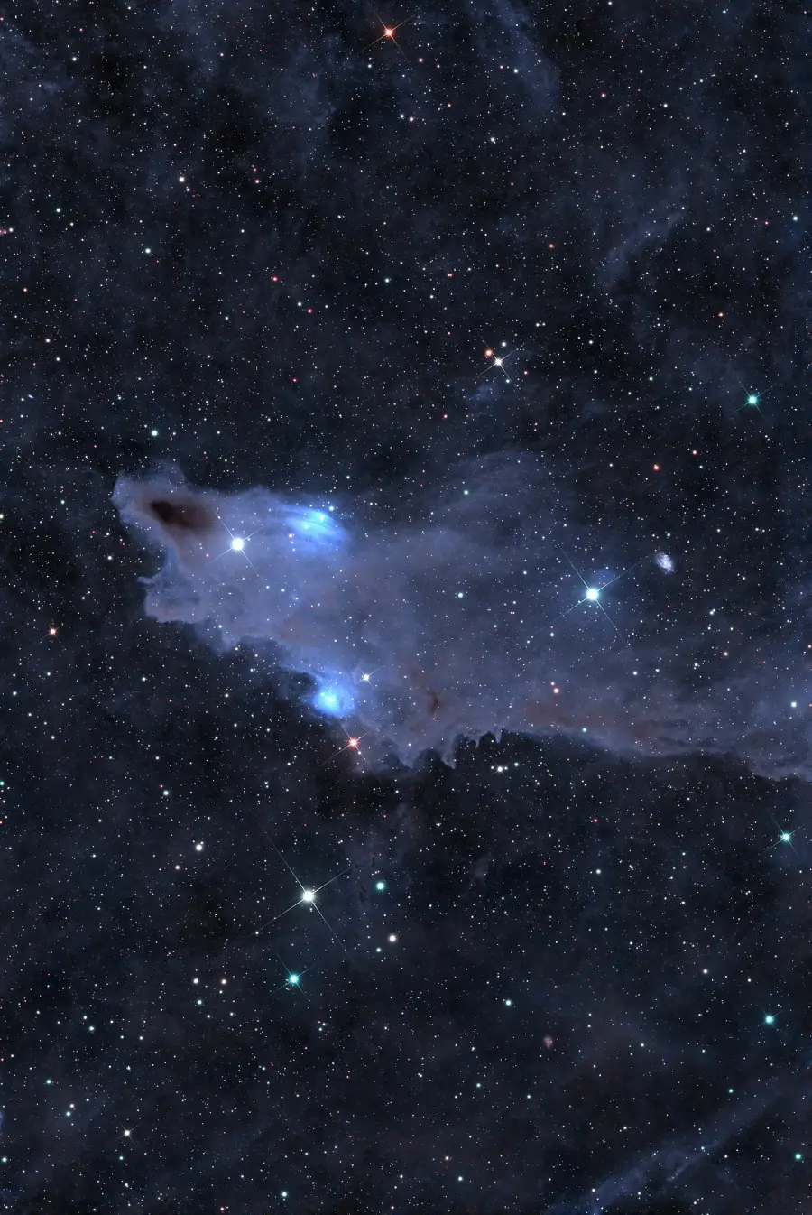 shark nebula,ldn 1235