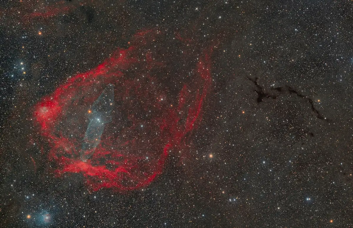 flying bat nebula,giant squid nebula