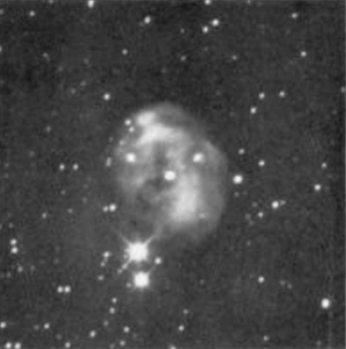 fetus nebula pease