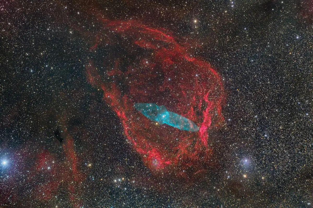flying bat and giant squid nebulae