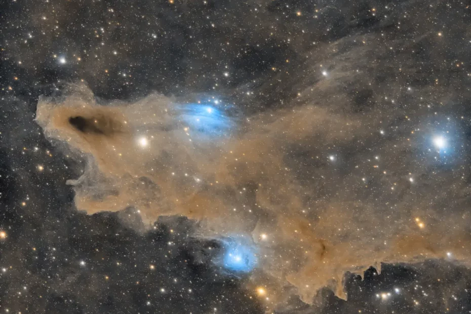 dark shark nebula
