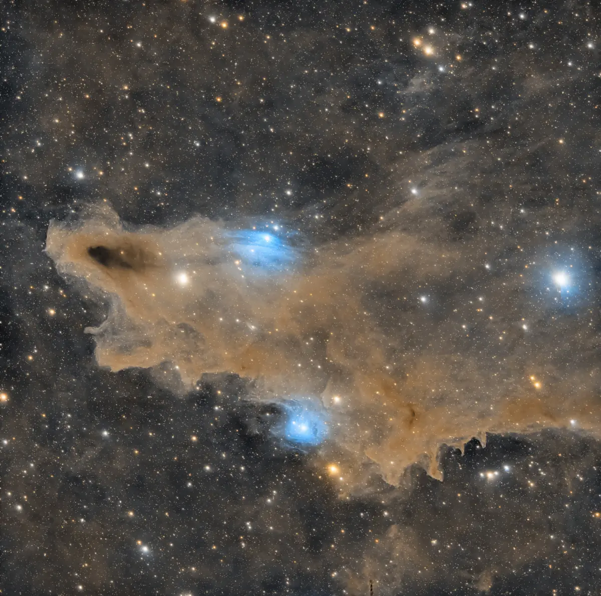 dark shark nebula