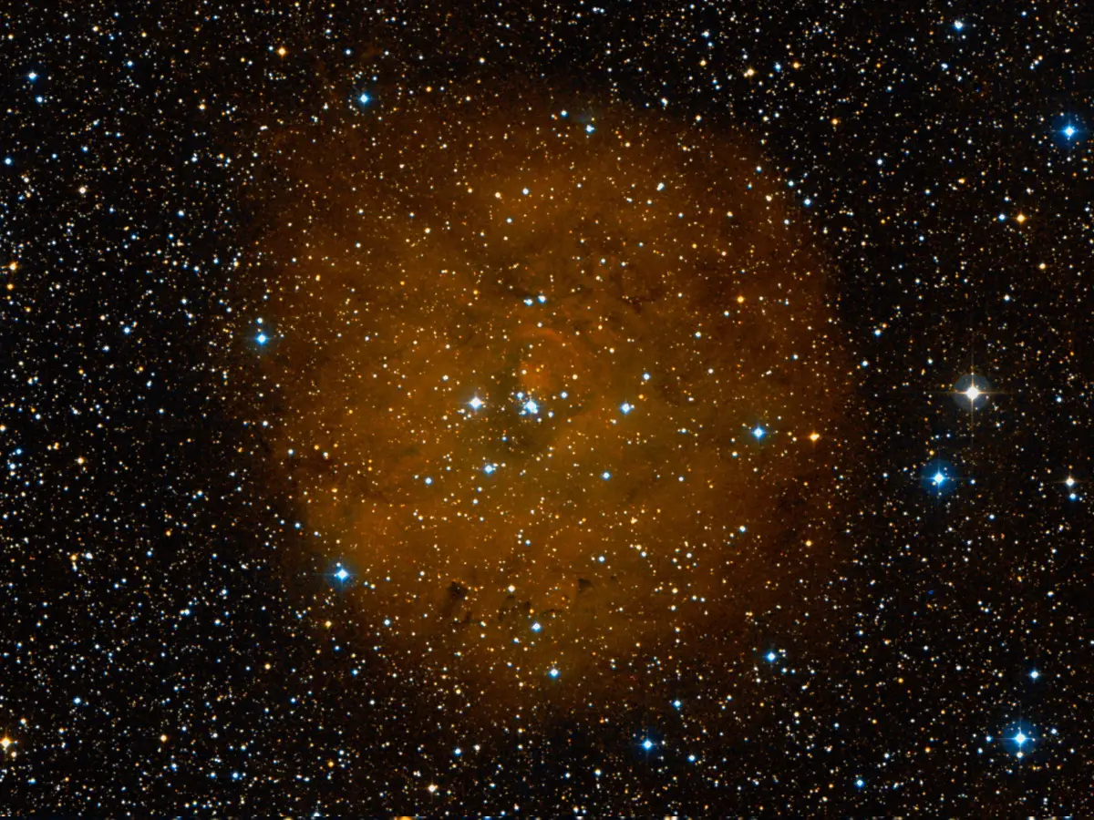 sharpless 170,little rosette nebula,sh2-170