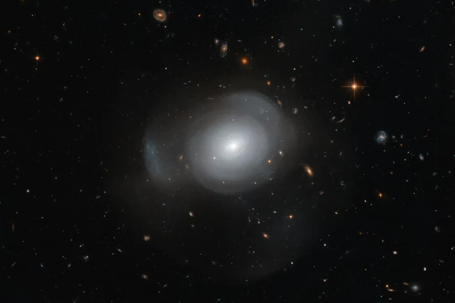 white rose galaxy,pgc 6240,leda 6240