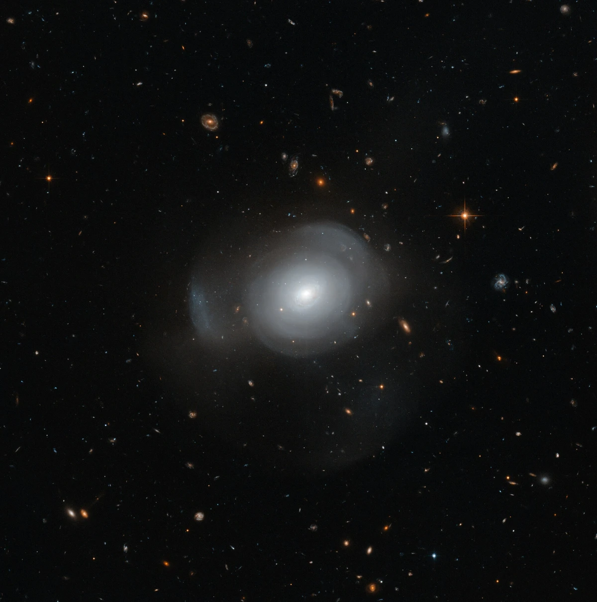 white rose galaxy,pgc 6240,leda 6240