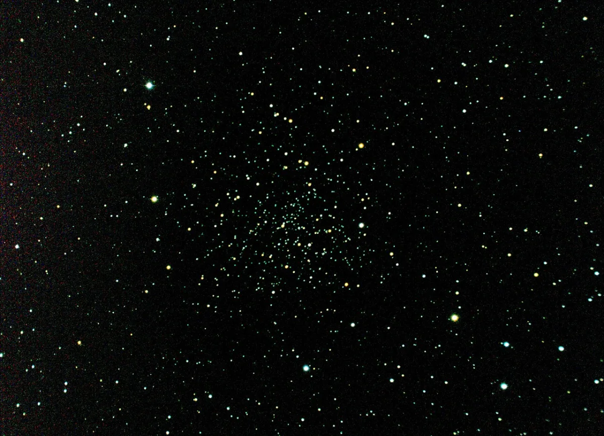 polarissima cluster