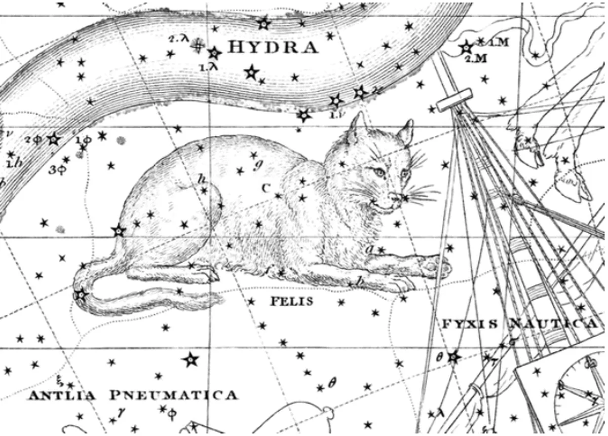 cat constellation