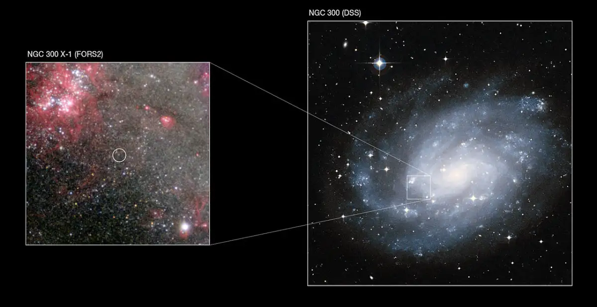 ngc 300 black hole