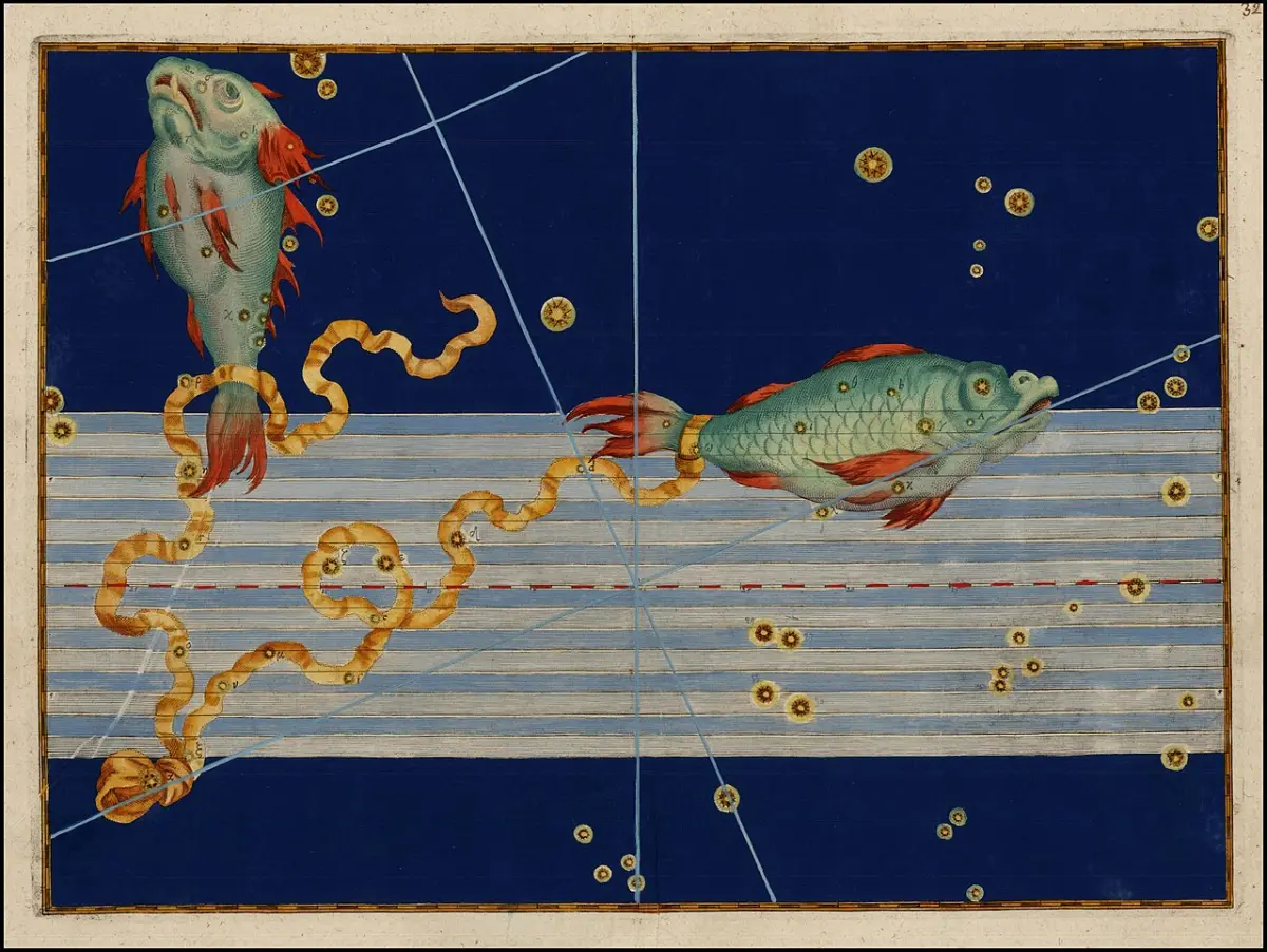 pisces constellation,fish constellation
