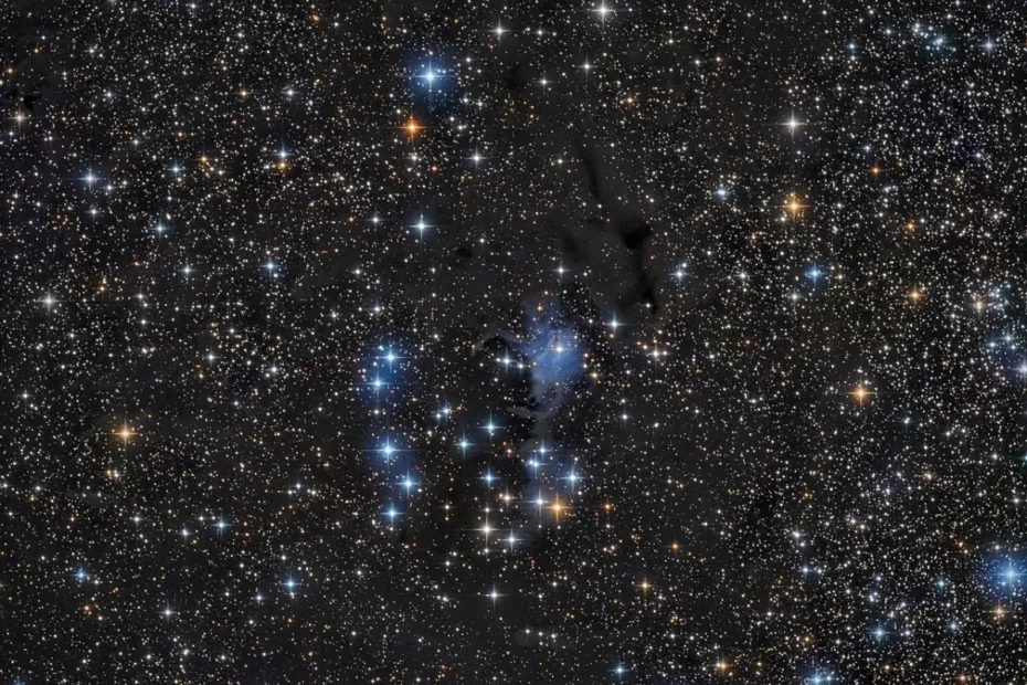 ngc 225,sailboat cluster