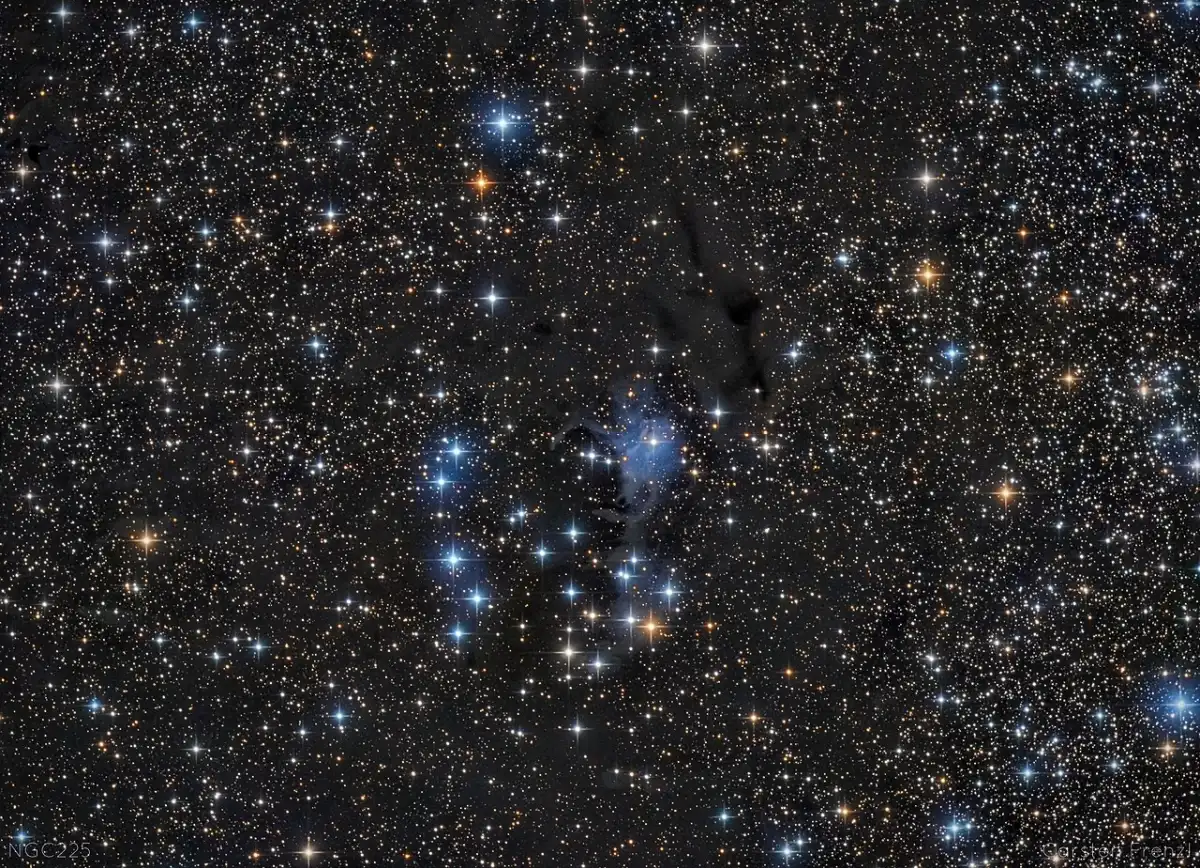 ngc 225,sailboat cluster