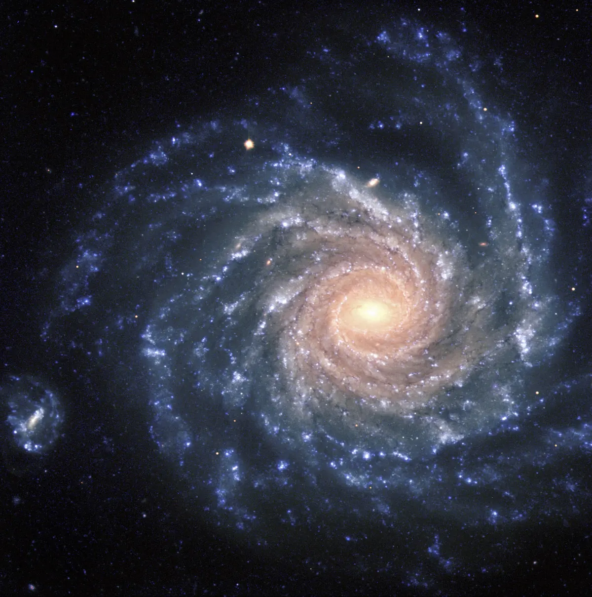ngc 1232